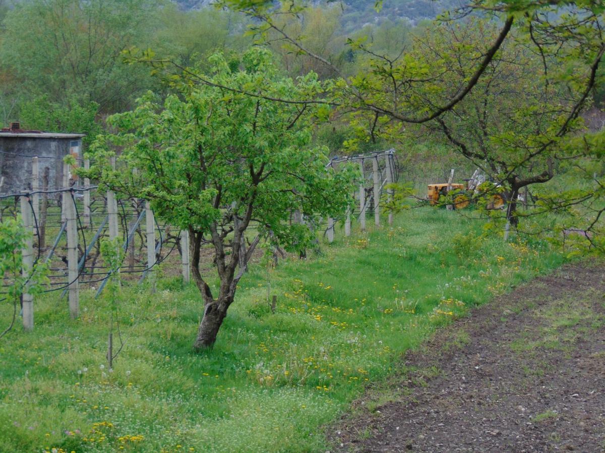 Studio&winery Kalimut Virpazar Zewnętrze zdjęcie
