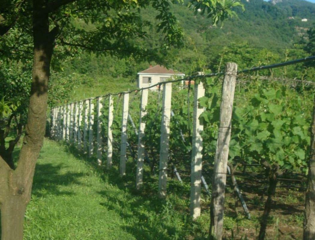Studio&winery Kalimut Virpazar Zewnętrze zdjęcie